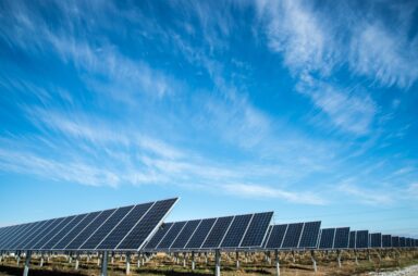 net-zero target